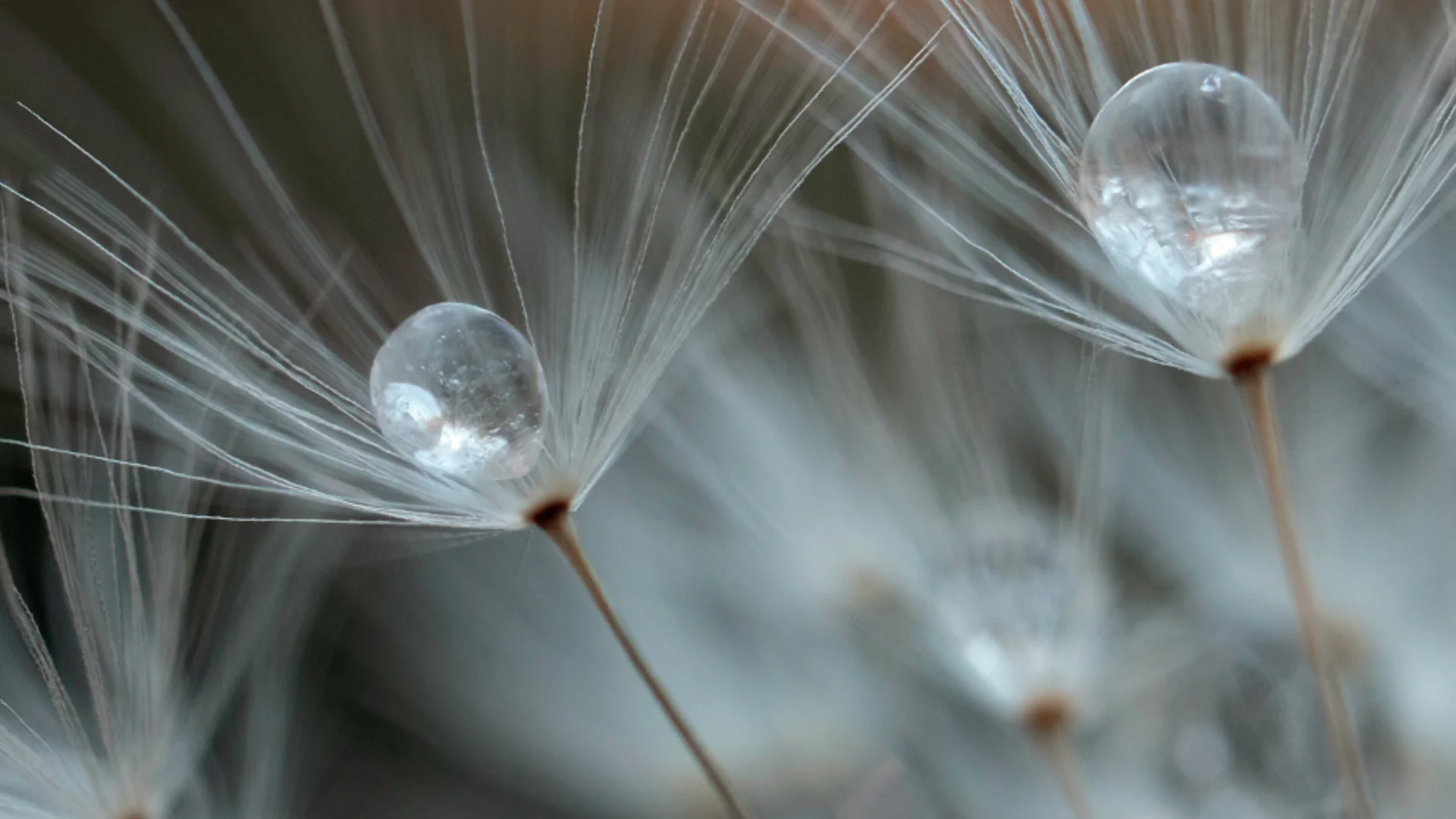 Why sustainability matters