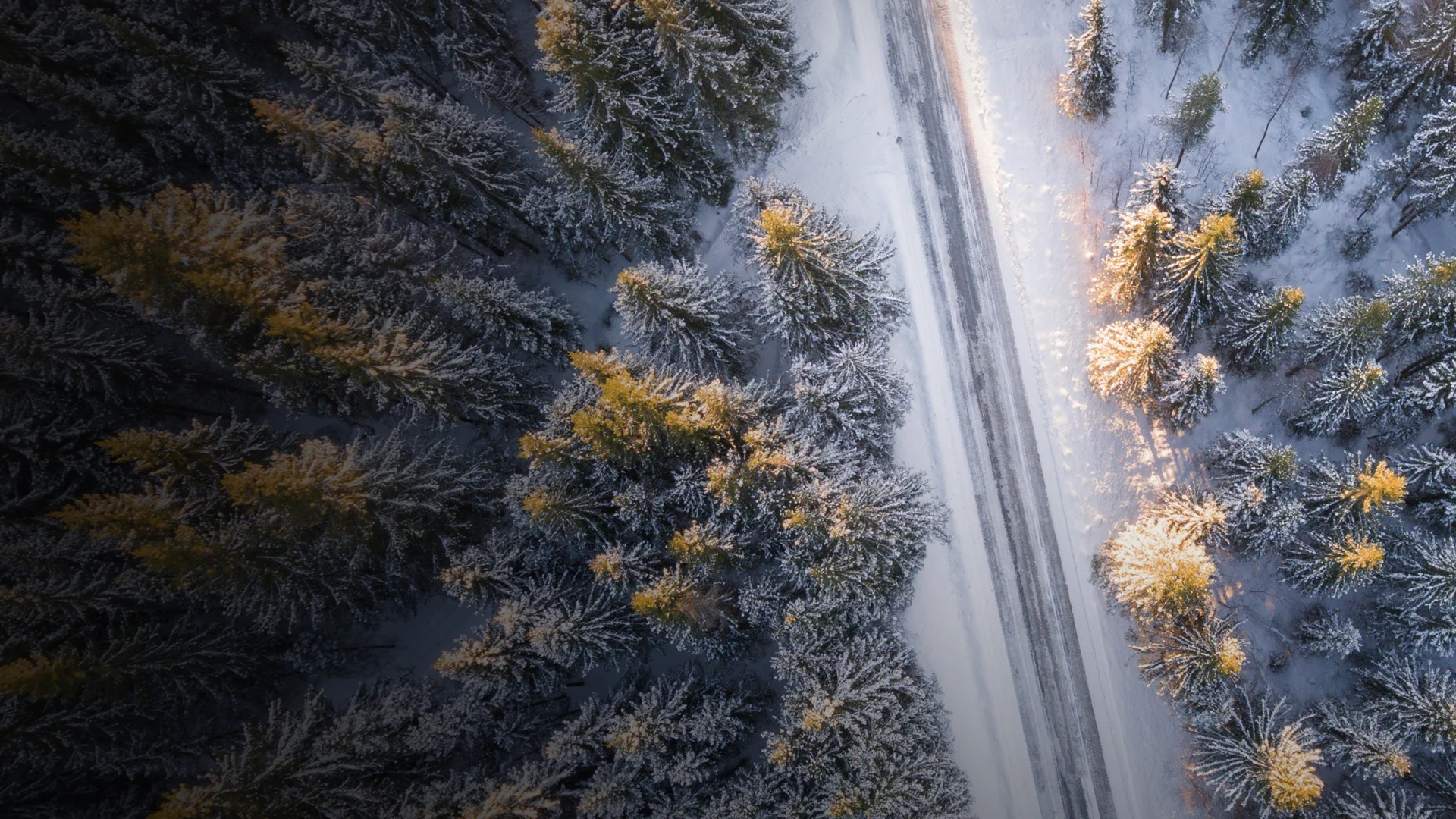 Counterpoint November 2022