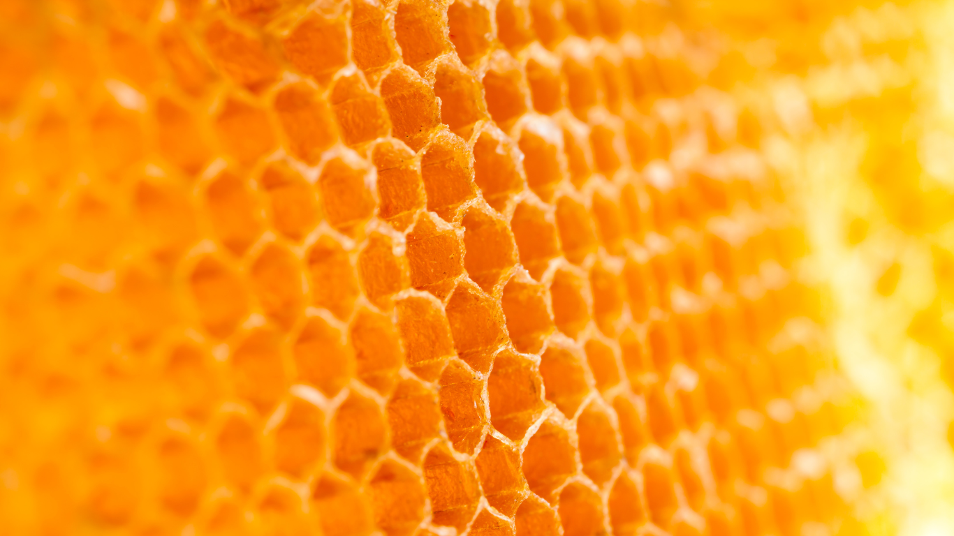 Counterpoint Special 