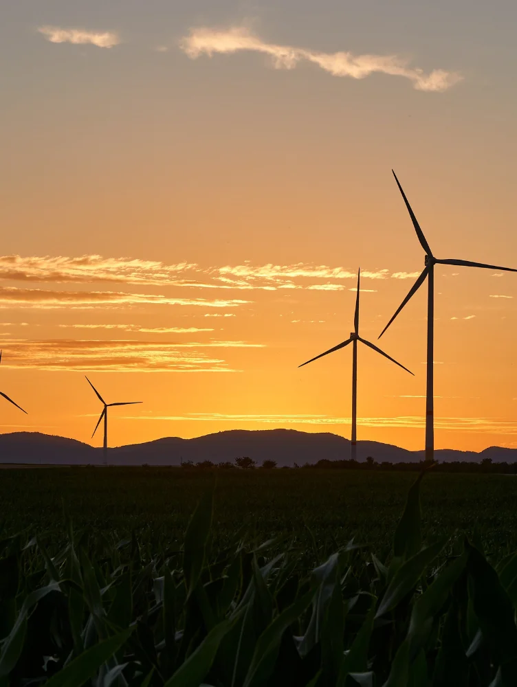 Siemens Image