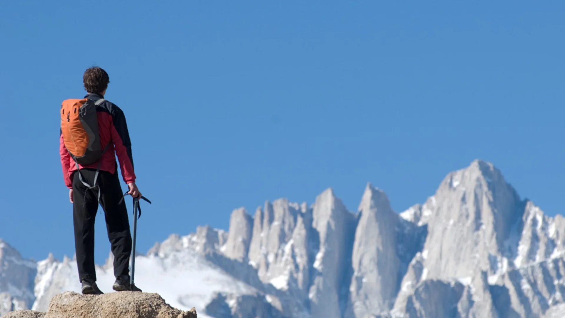 Navigating the recovery