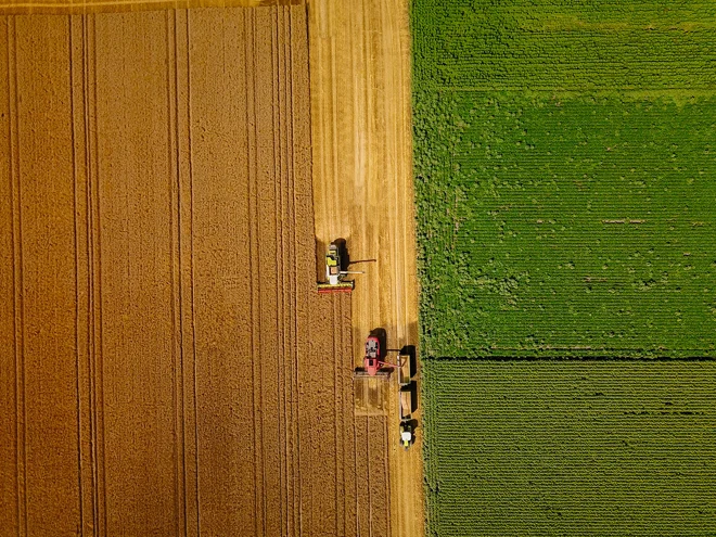 Counterpoint September 2025