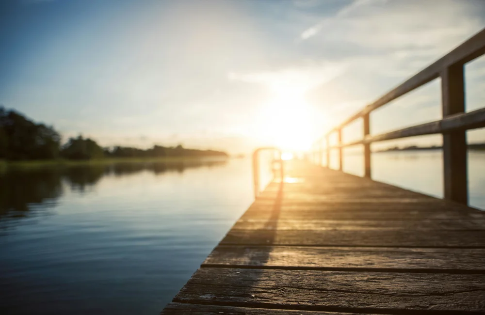 Markets & Investment Update - 03.11.25