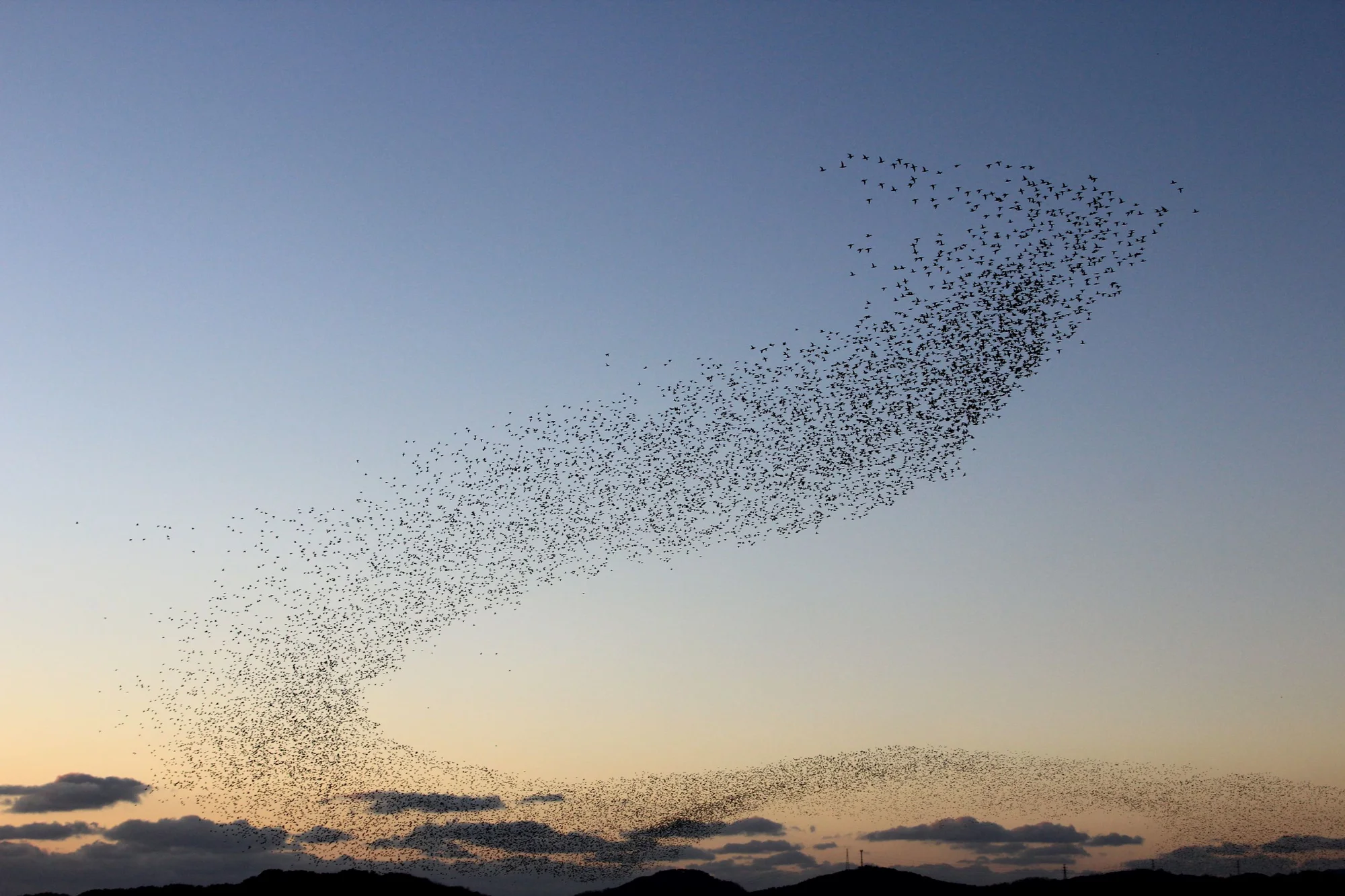 Counterpoint July 2026: Recalibrating the path
