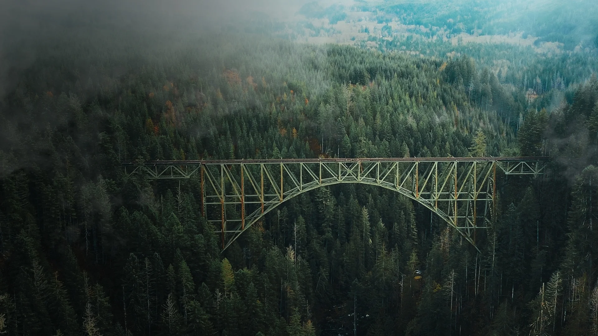 Counterpoint September 2022