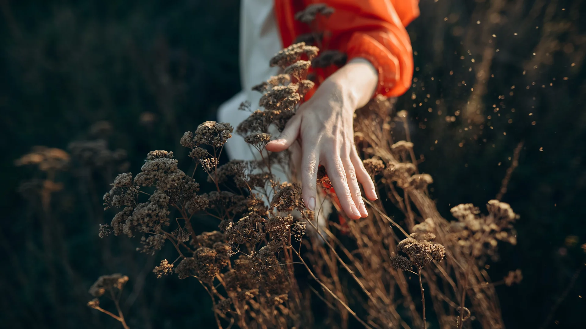 Brown Shipley joins the Wealthiher network