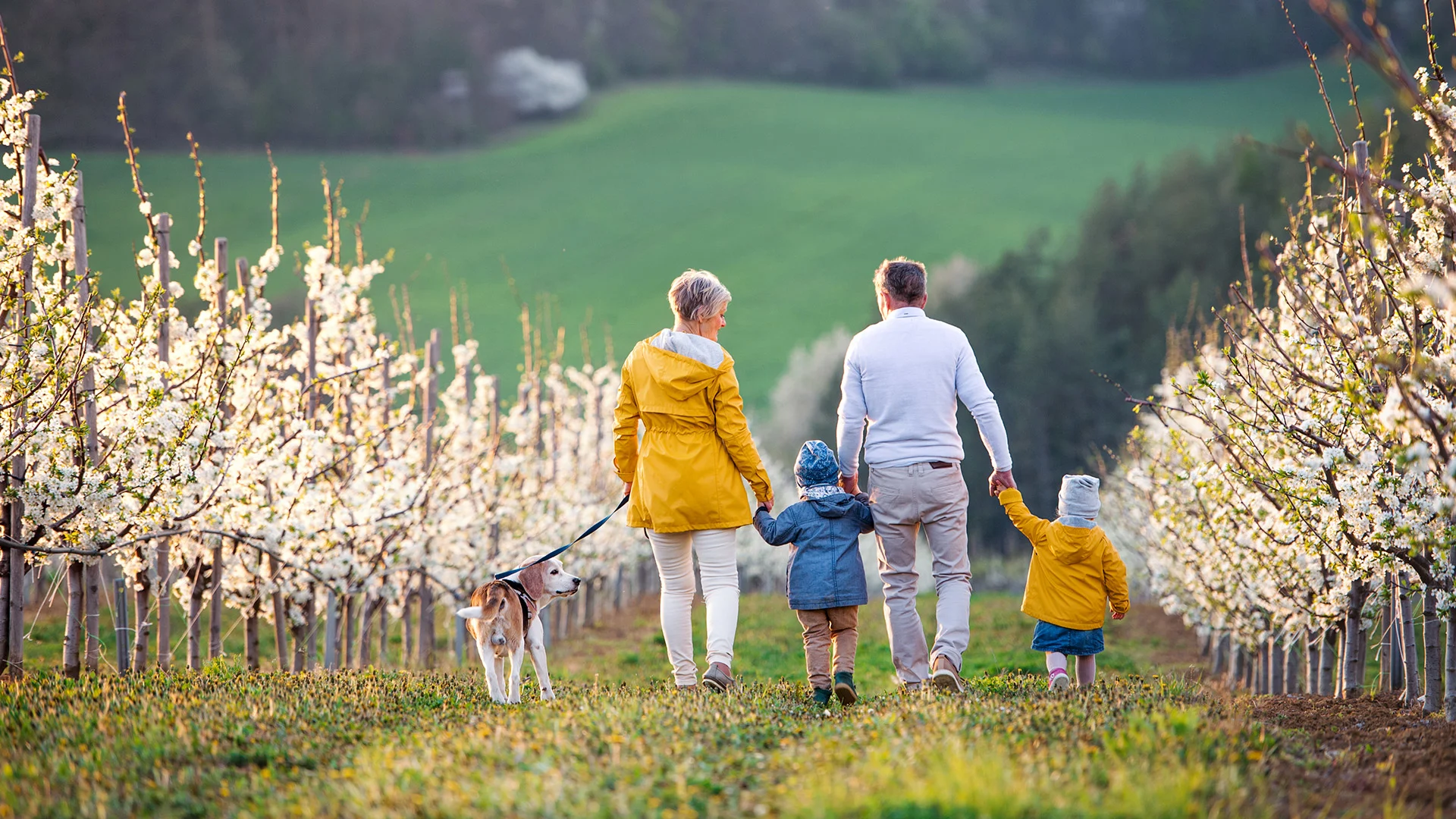 The rise of generational wealth: Unlocking new possibilities