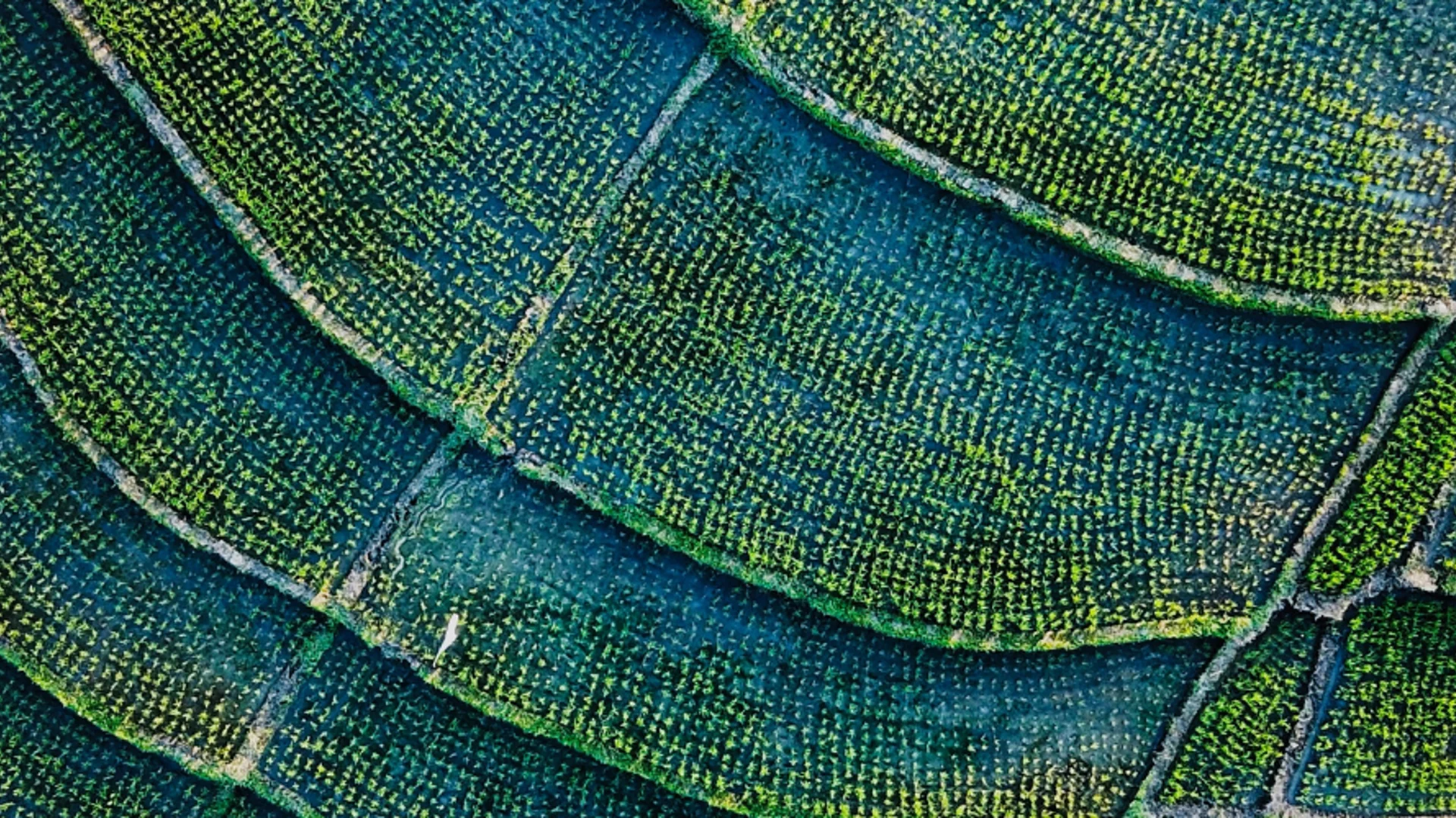 Helping activate change with active ownership