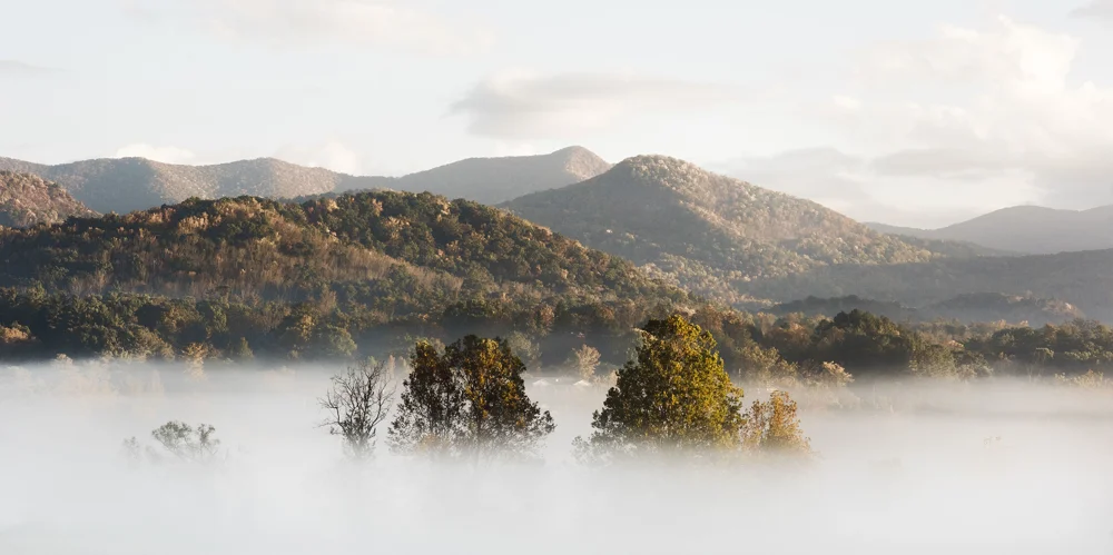 How to Use Charitable Giving as Part of Your Philanthropy Strategy