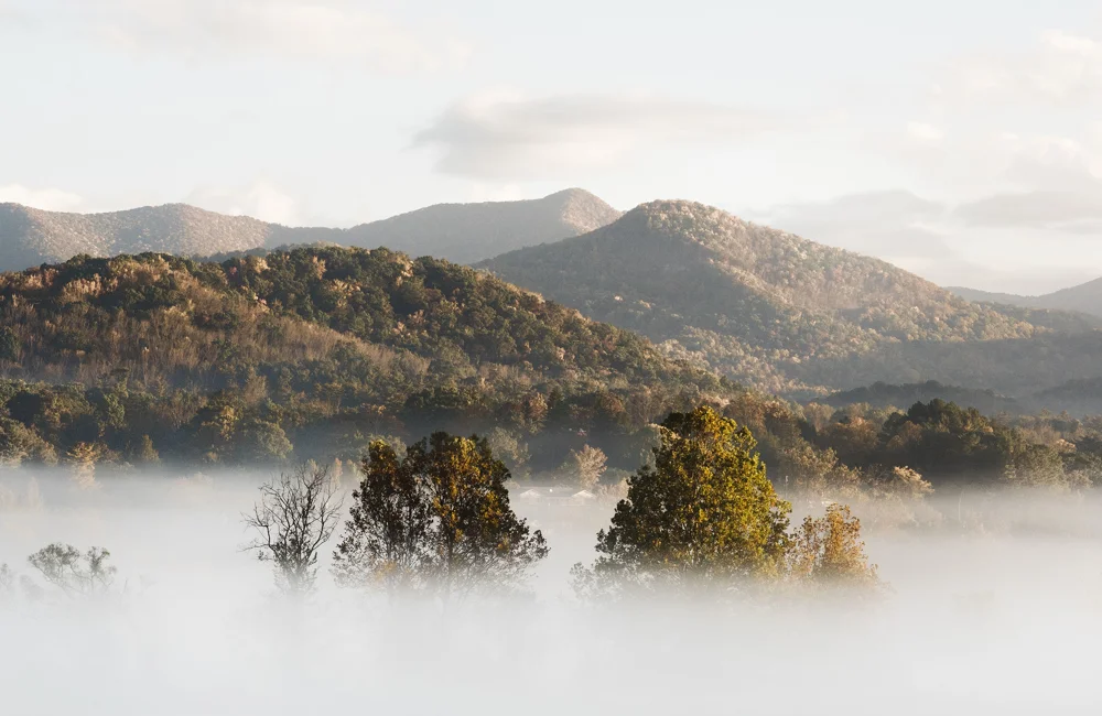 How to Use Charitable Giving as Part of Your Philanthropy Strategy